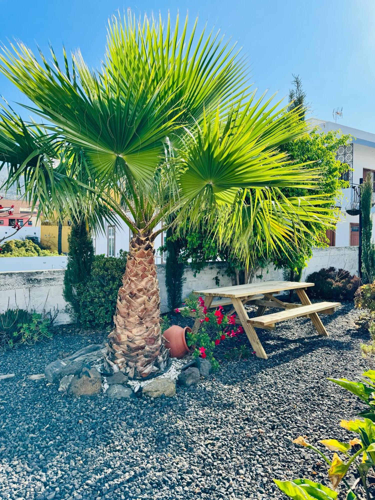 Bungalow Los Laureles El Paso Exterior foto